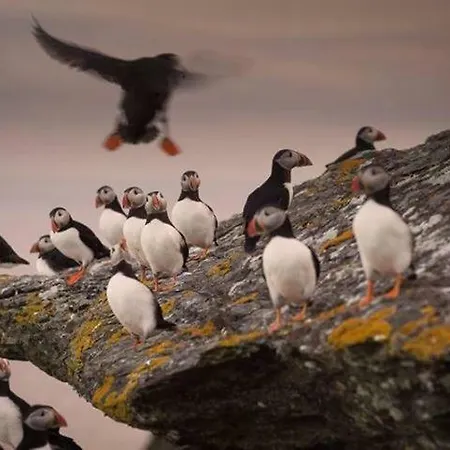 Skellig Port - Sea View Ensuite * Portmagee