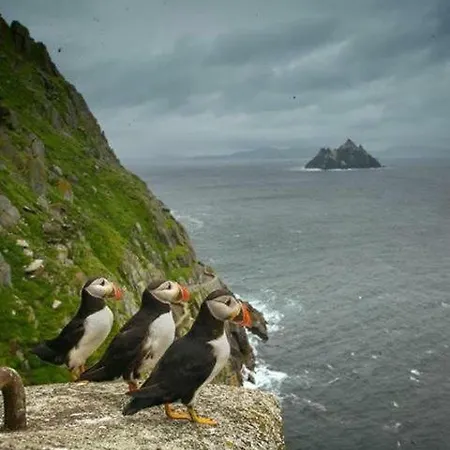 Skellig Port - Sea View Ensuite Проживание в семье *