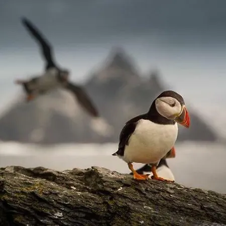 Skellig Port - Sea View Ensuite Δωμάτια σε οικογενειακή κατοικία *