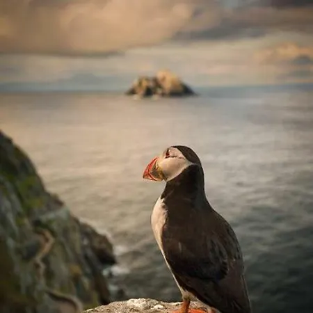 Skellig Port - Sea View Ensuite Проживание в семье *