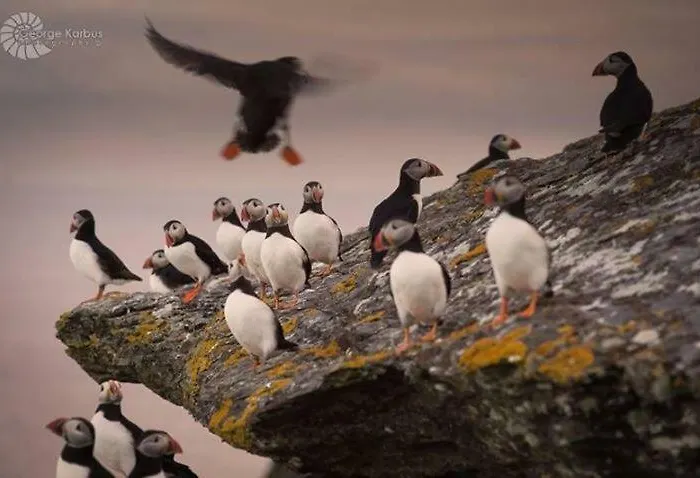 Skellig Port - Sea View Ensuite * Portmagee