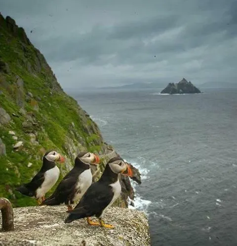 Skellig Port - Sea View Ensuite Homestay *