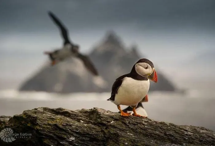 Skellig Port - Sea View Ensuite Privat bolig *