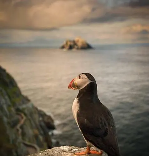 Skellig Port - Sea View Ensuite Rum i privatbostad *