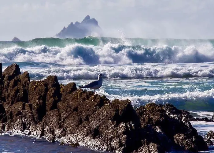 Skellig Port - Sea View Ensuite Rum i privatbostad *